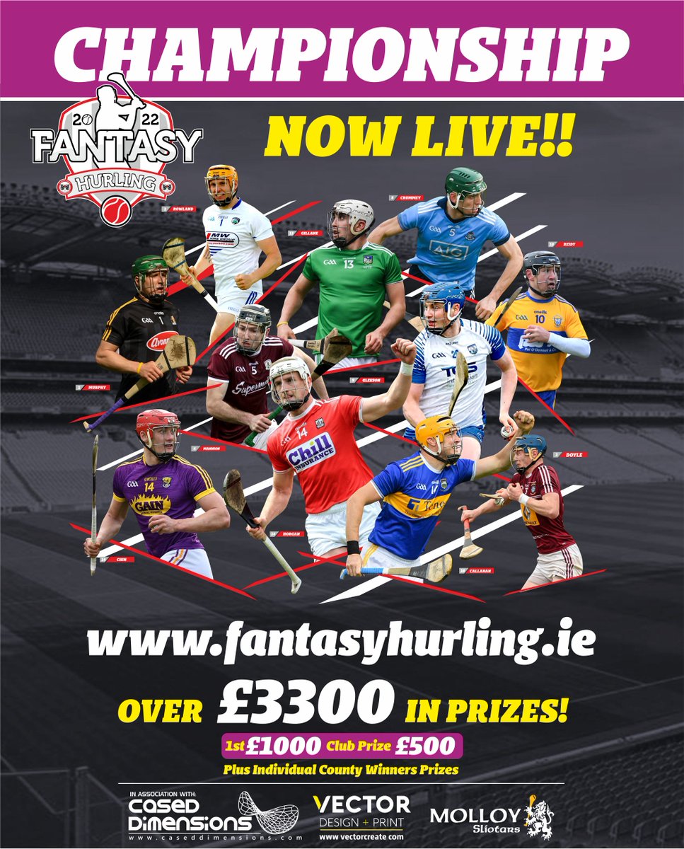 Fantasy Hurling 2026 tweet media