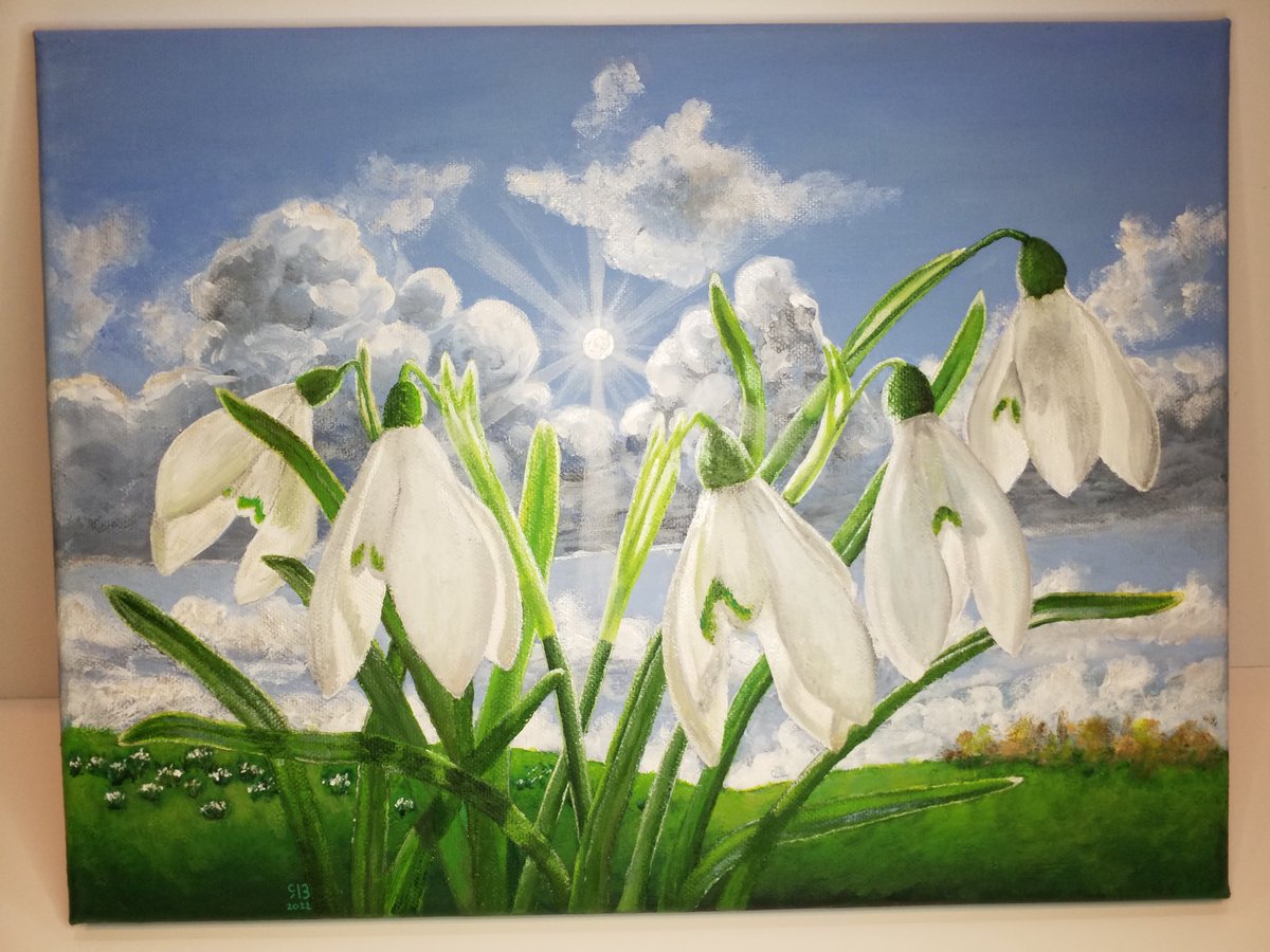 HashtagForHope's tweet photo. #ForHope #ForGreg #ForHarrison Winter sunshine and snowdrops. I donated to @bipolaruk and @samaritans, please also consider @YoungMindsUK. Post your hope-filled creations today! https://t.co/34suqdkfkx