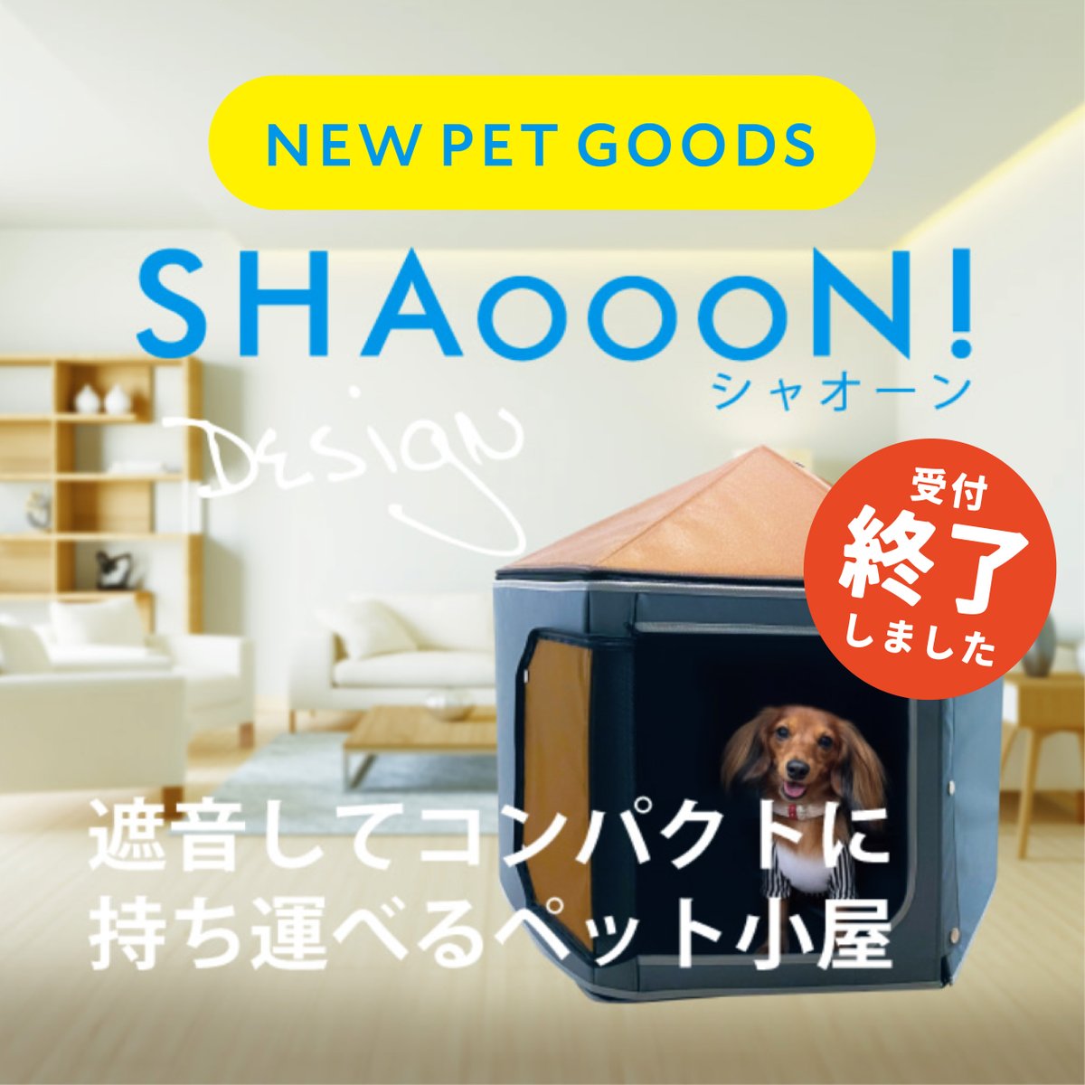 PROFACT2021's tweet photo. 本日17時をもちまして #シャオーン Makuakeでの受付が終了いたしました！
サポーターの皆さま、ご支援いただきまして誠にありがとうございました！後ほど追って詳細を投稿いたします☺️
https://t.co/1LSAao7DBc https://t.co/13HjLr6I8G