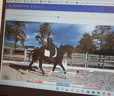 InnoSportLabDB tweet media