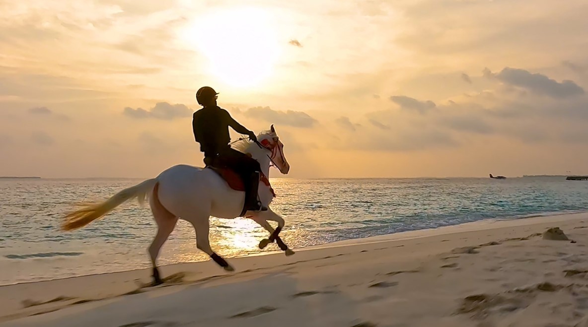 maldivescomp's tweet photo. "I'm on a horse."  @siyamworldmv #Maldives - https://t.co/IcsPqC2Lg7 https://t.co/j5NV2PzNWe