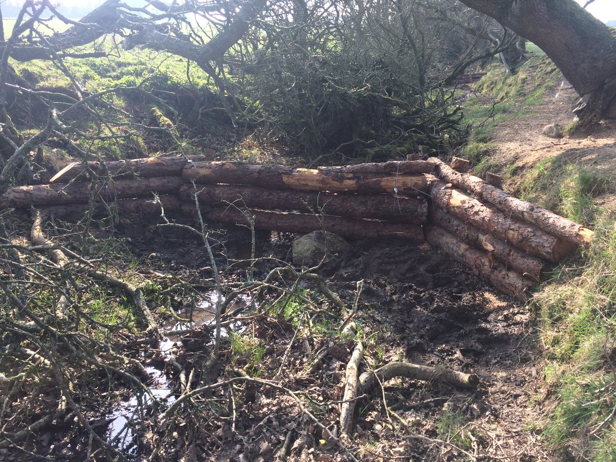 More fantasitc leaky dams to help protect Flimby village. 71 and counting ... 
These ones have big water storage areas to #slowtheflow  Constructed by @Arbclear