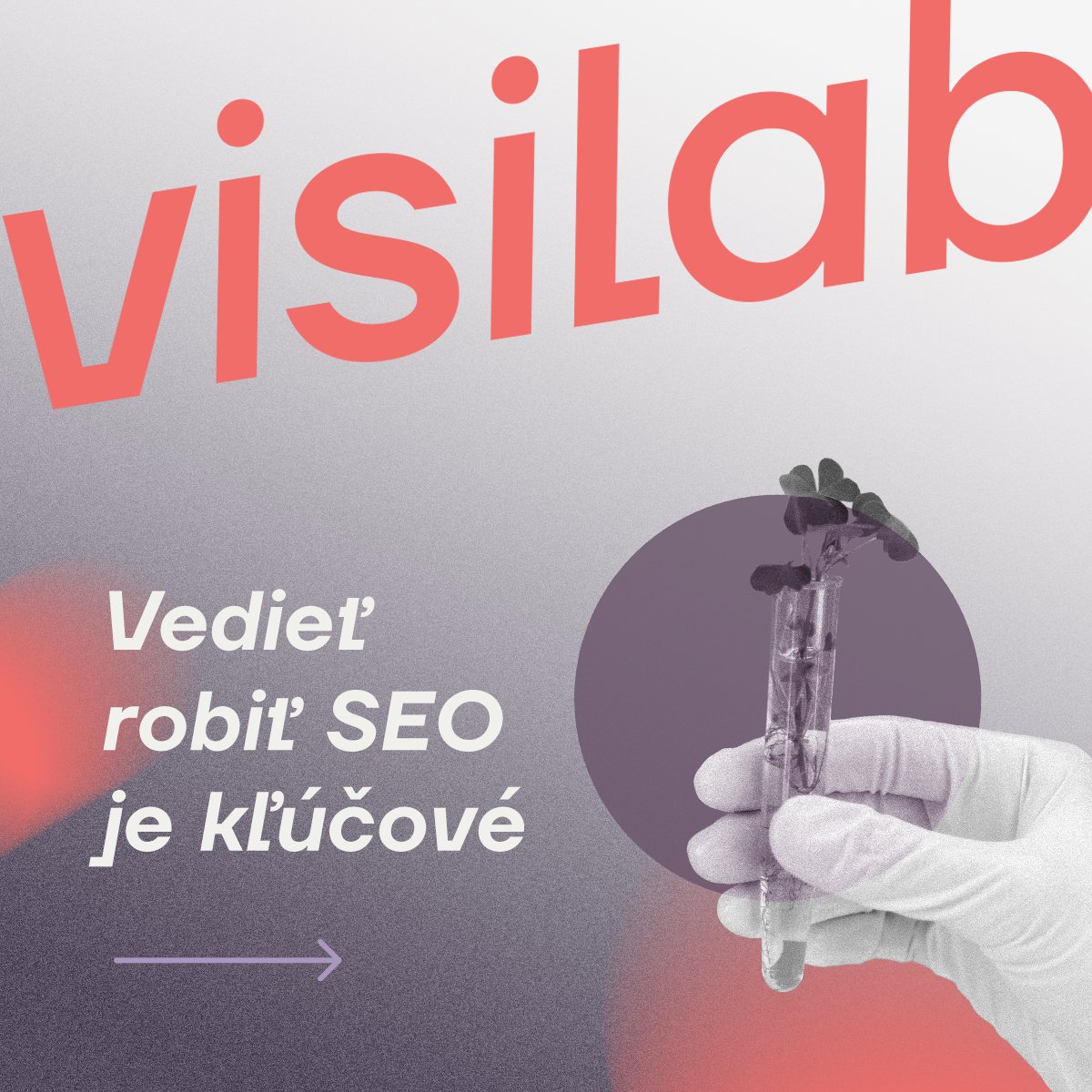 SEO by Visibility tweet media