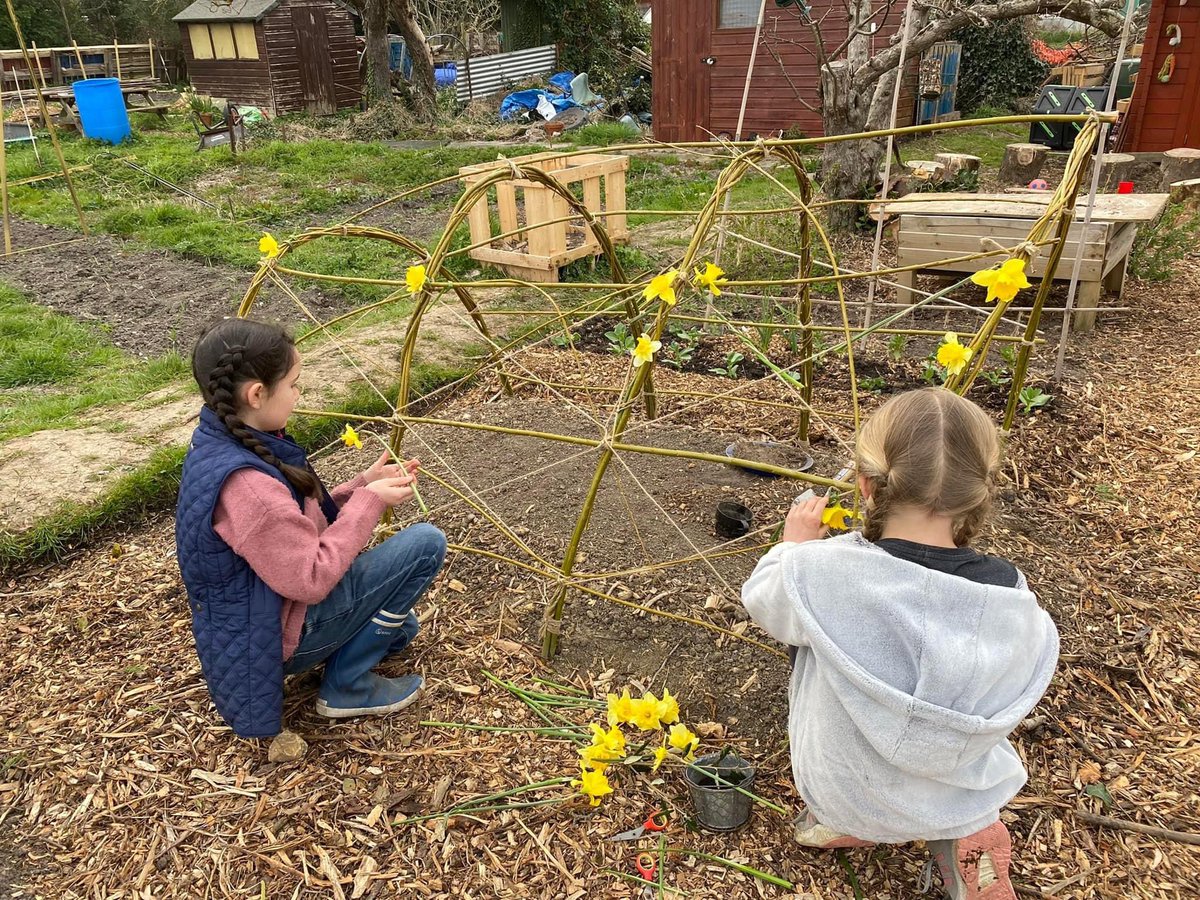 GrowEastbourne's tweet photo. So a hot topic on the plot is whether we should let our magnificent willow structure root… and we’ve decided YES 👏 Now a designated crawl space for anyone that can fit through and a creative area to celebrate nature. Here’s some daffodil weaving for your delectation. https://t.co/69DwRDVQnA