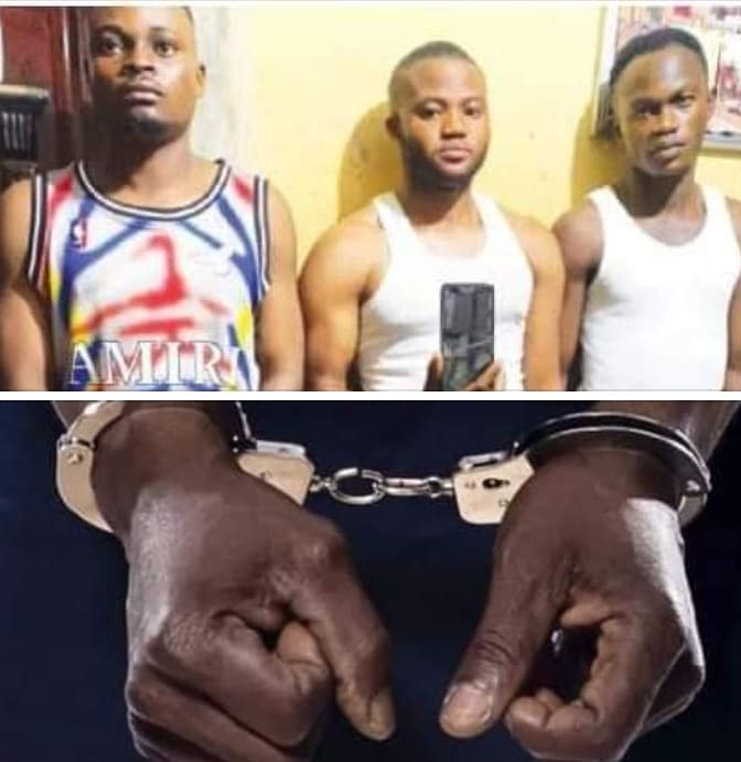 iLoveEKITI's tweet photo. POLICE ARREST 'SOLDIER', 2 OTHERS OVER KIDNAP OF FUOYE STUDENT: Operatives of d Ekiti Police Command have arrested 3 suspects, including a soldier, for allegedly abducting a student FUOYE.D 3 suspects were arrested in their hotel room in Ado while d victim was rescued unhurt https://t.co/8oAo8ggdul