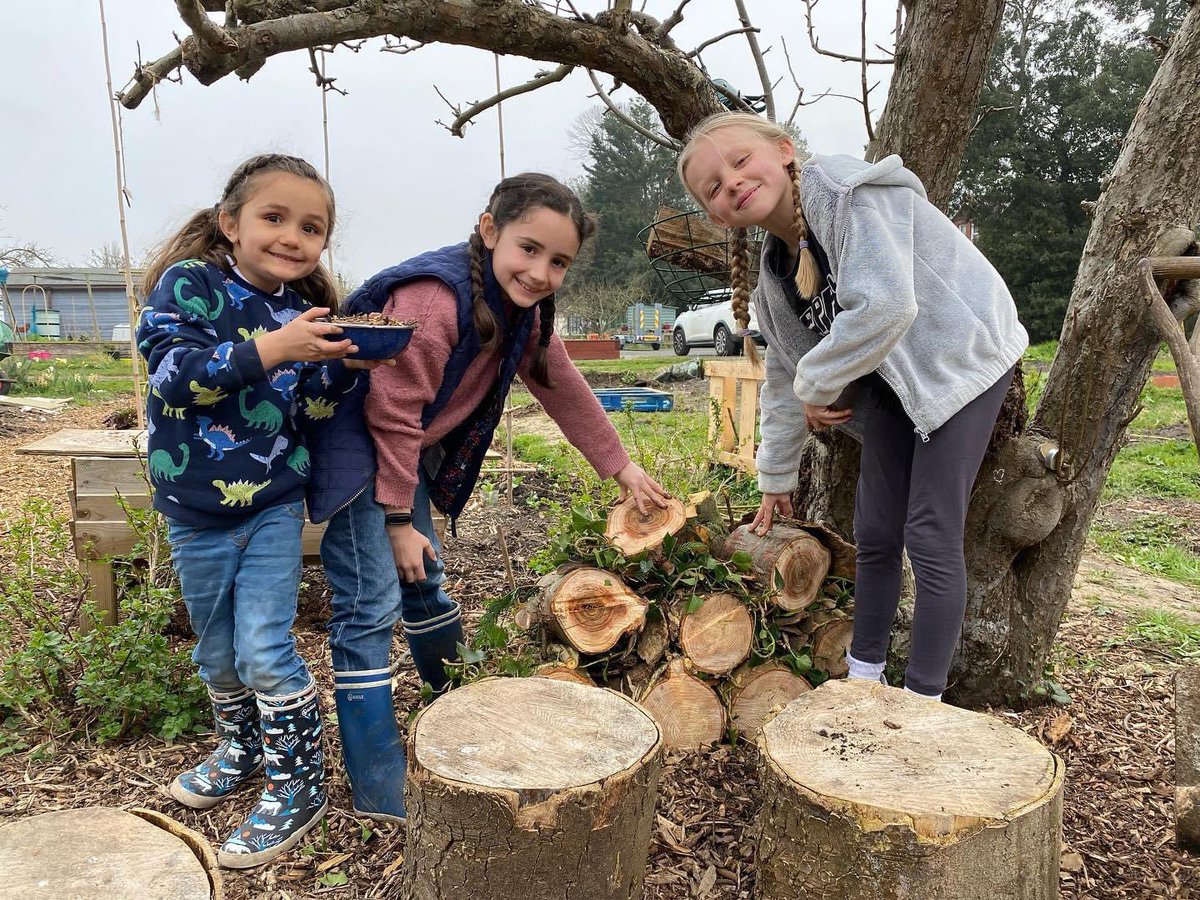 GrowEastbourne's tweet photo. Bug house building this week… look at this beauty! Now to fill the crevices… https://t.co/gzFebD5Fv6