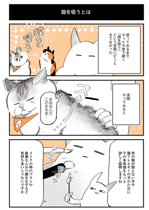 『猫を吸うとは』 