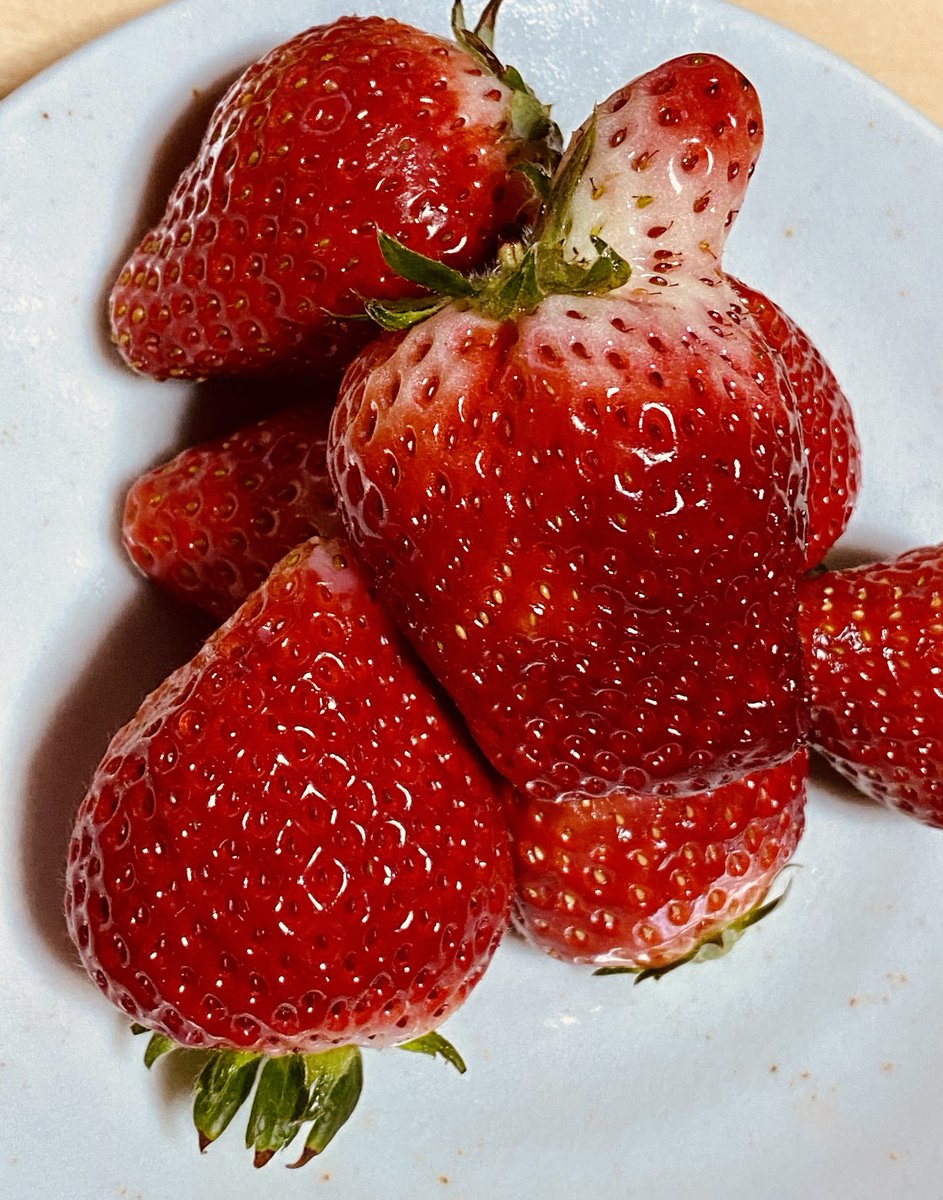 シン・ゴジラ第五形態みたいだなーキミ 