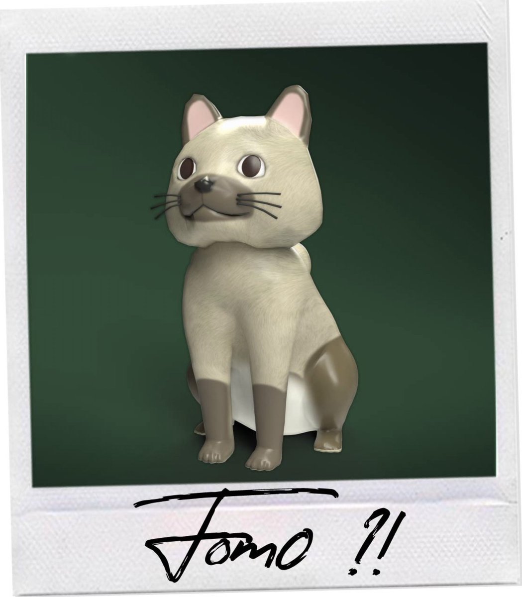 FOMO Kitty tweet media