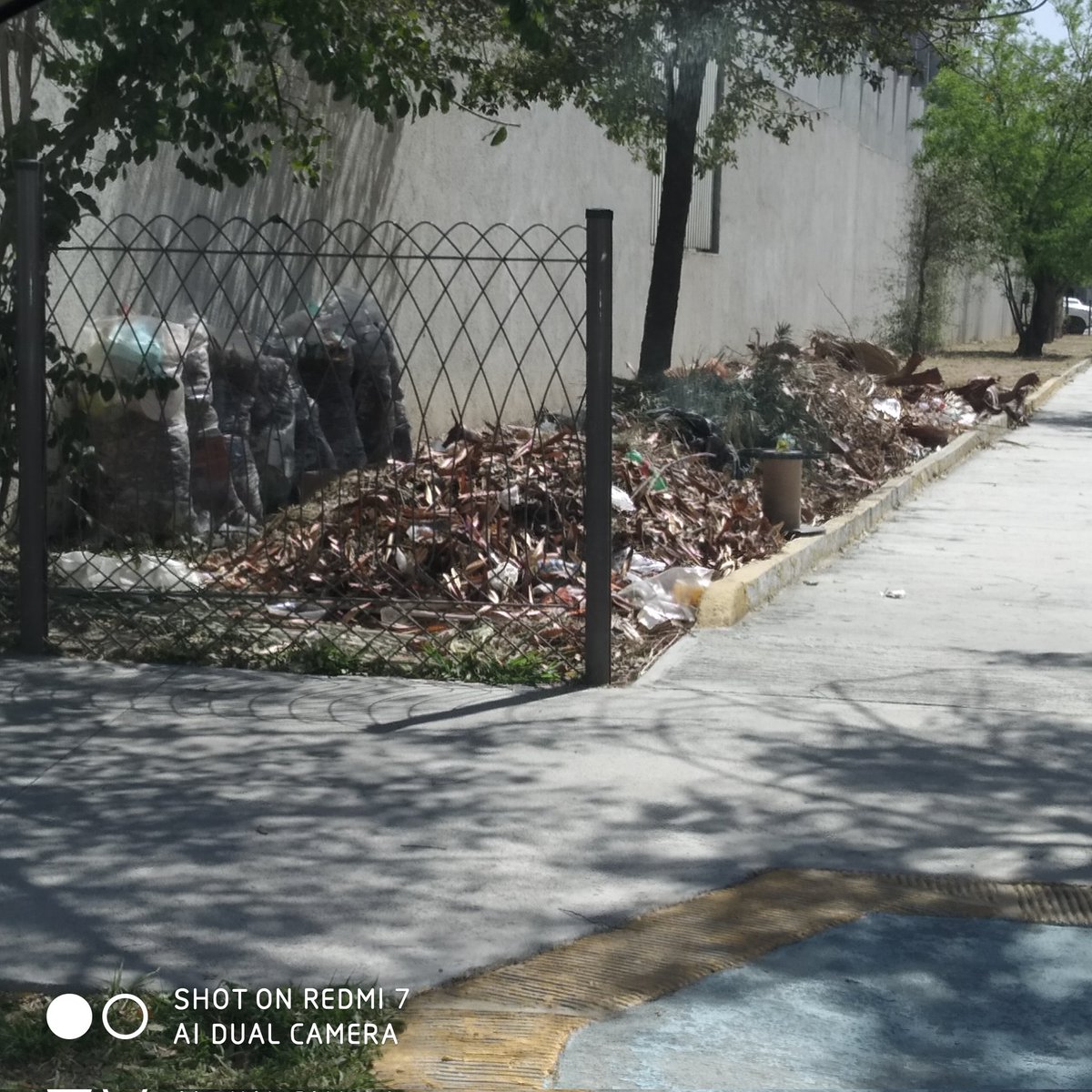 ComunidadChepeLomas tweet media