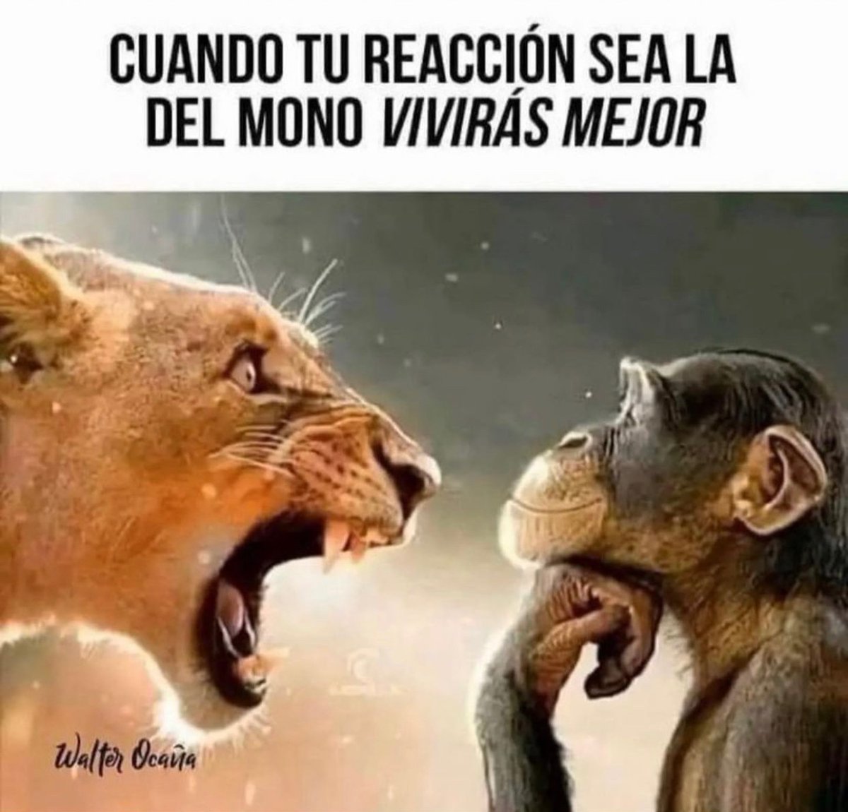 RT si eres un mono. 🙉 🐒🐵