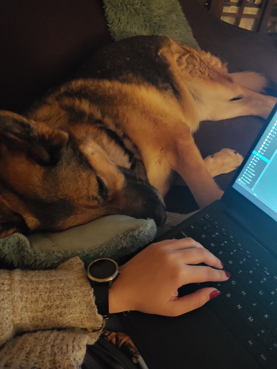 TheOneWithTheQ's tweet photo. Jadzia is helping me find some words on this #5amwritersclub. But then she hides them and I must provide scritches to get them back. https://t.co/DEI1cTez5O
