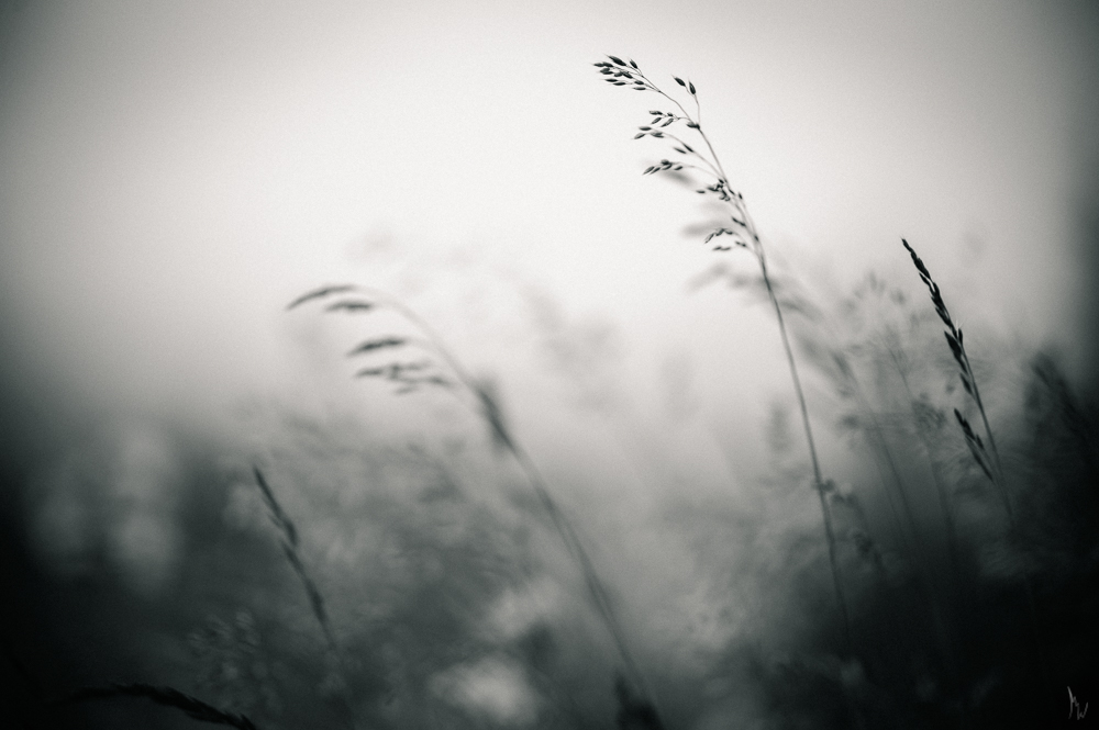 Errances_Photo's tweet photo. #alps #isere #nature #tinylandscape #photography #blackandwhite photography https://t.co/1HlZeOKNr2