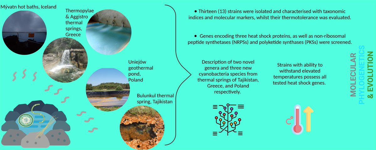 CyanoLab AUTH tweet media