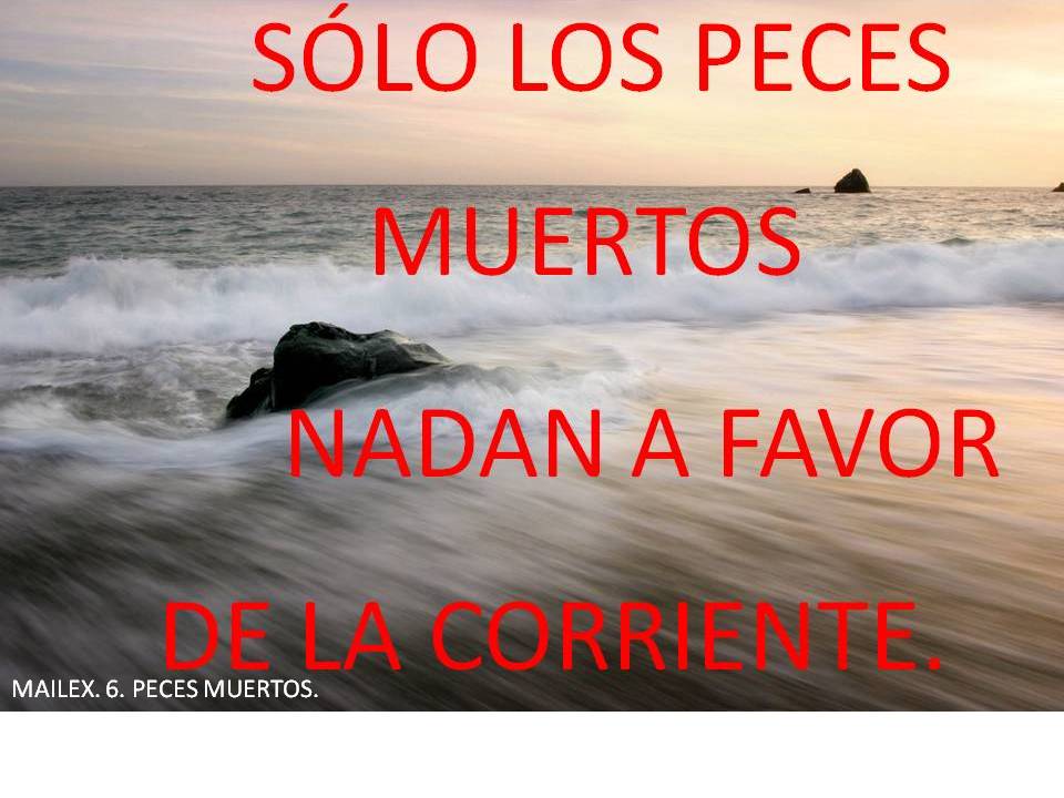 carlosmarsa47's tweet photo. `PECES MUERTOS´. #Mailex´. #humor #chistes #reírse #política #vintage. https://t.co/bgH5Pmfqw5