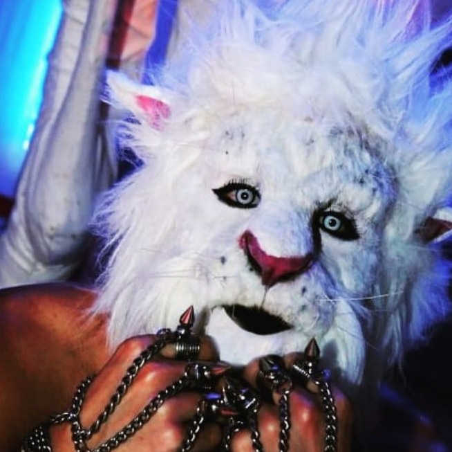 Sala RedStar tweet media