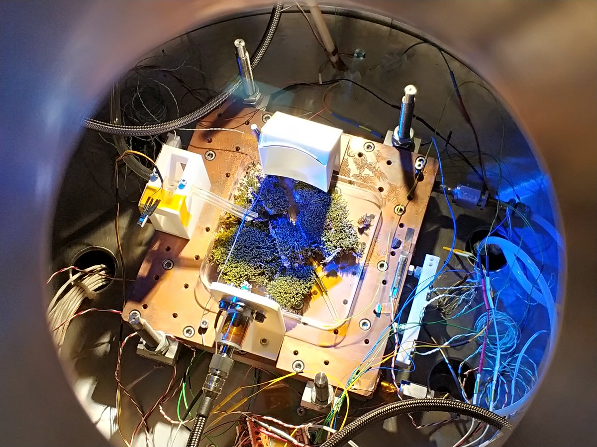 Txus_DrUHV's tweet photo. Ya está el catalogo de #FOTCIENCIA18 https://t.co/7kCoSMWpRx de la @FECYT_Ciencia. Una de la fotografías de este catalogo es "Musgo en Marte", realizada en la cámara #MARTE (https://t.co/DUFquEw0QI) en el proyecto #WLOM del @C_Astrobiologia del @intaespana 👇 https://t.co/7Vjj0pJq4j