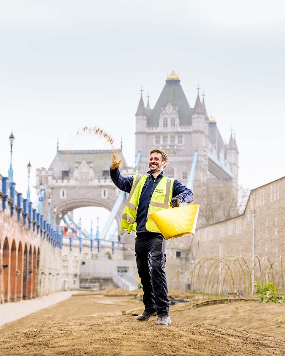 TowerOfLondon's tweet photo. The seeds are going in! 🎉 This week 20 million seeds are being sown in the moat ready for Superbloom, our spectacular floral display to celebrate the #PlatinumJubilee  🌼 🌸🐝

With the weather on our side, we can't wait to see what nature brings! 🌻🌹#TowerSuperbloom https://t.co/Kr6avj61fD