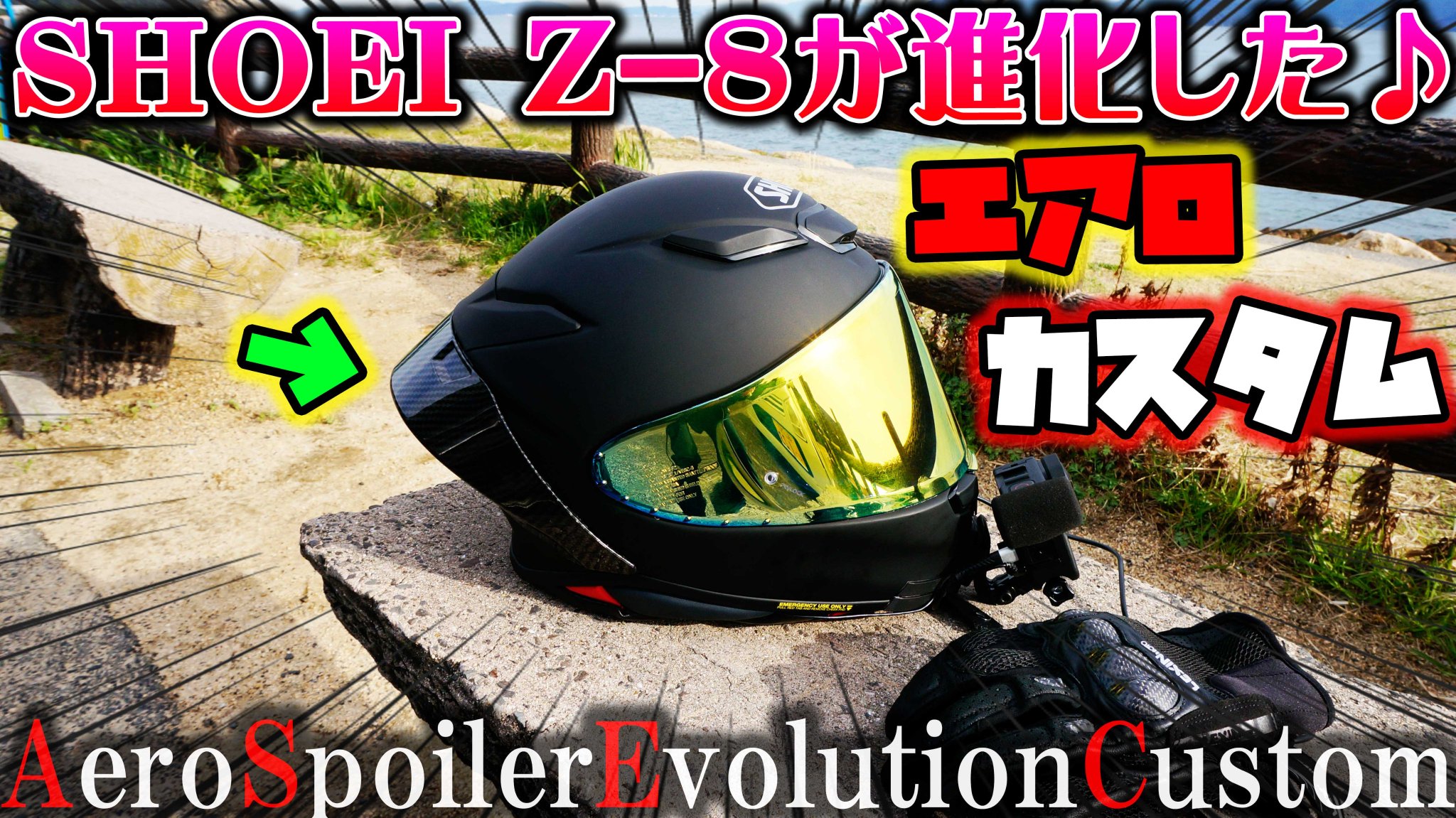 SHOEI ショウエイ z-7用 スポイラー ダークスモーク レーシング