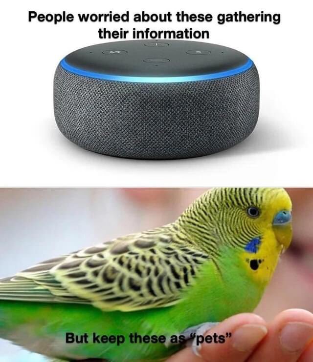 [Image: FPFtas7XMAAE7IX?format=jpg&name=900x900]