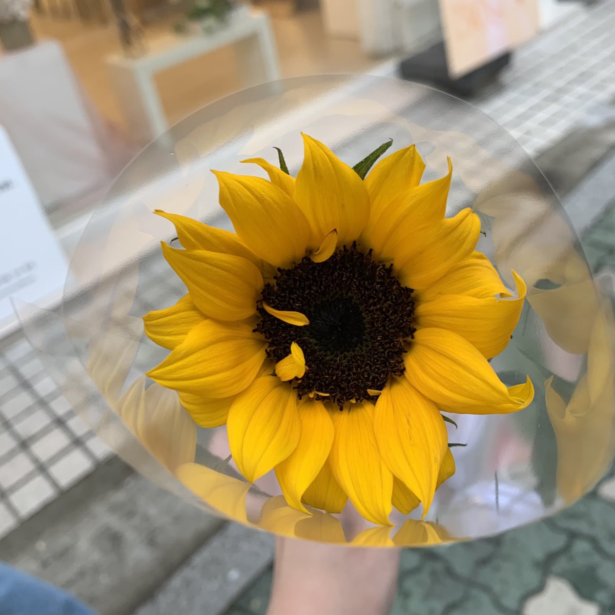 #HappyMinoDay
#민호에게_첫눈에반했다
너무 예쁘게 꾸며진 공간에 해바라기..🌻💙
미노 생일 너무너무 축하하고 앵복하자,,,아프지맬고🎵🎶💛
좋은 이벤트 감사해요 >.<