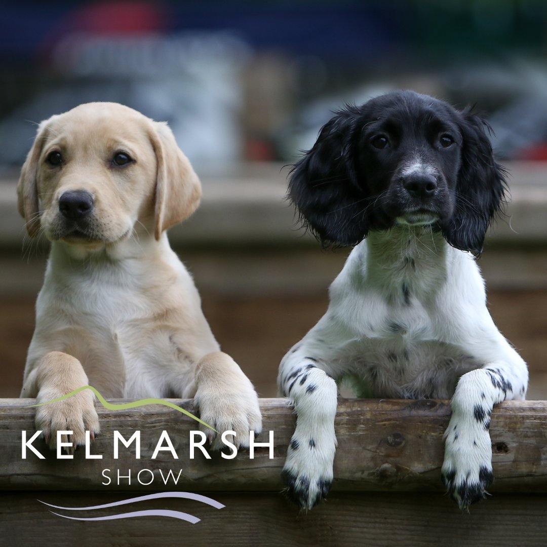 Kelmarsh Show (@kelmarshshow) on Twitter photo Just one more sleep!!! Who's excited?
We can't wait to open our gates to you all, see you in the morning 😊
#lettheadventuresbegin #Countryside #KelmarshShow #FamilyDayOut Just one more sleep!!! Who's excited?
We can't wait to open our gates to you all, see you in the morning 😊
#lettheadventuresbegin #Countryside #KelmarshShow #FamilyDayOut