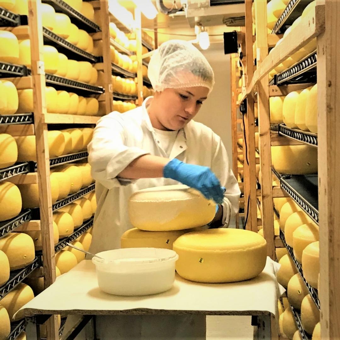 cheese_academy's tweet photo. Did you know that bathing and brushing are more than just a beauty regime?

Read more about this in our Beginners' Guide to Affinage:  https://t.co/g6bvzbPY2x

#affinage #cheesematuration #affineuroftheyear #cheeseblog https://t.co/u5mFufaD2y