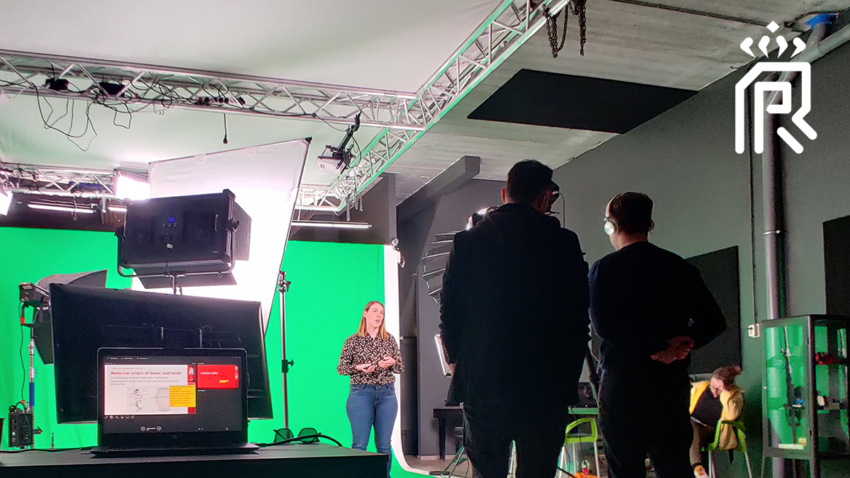 Royal Pas Reform tweet media