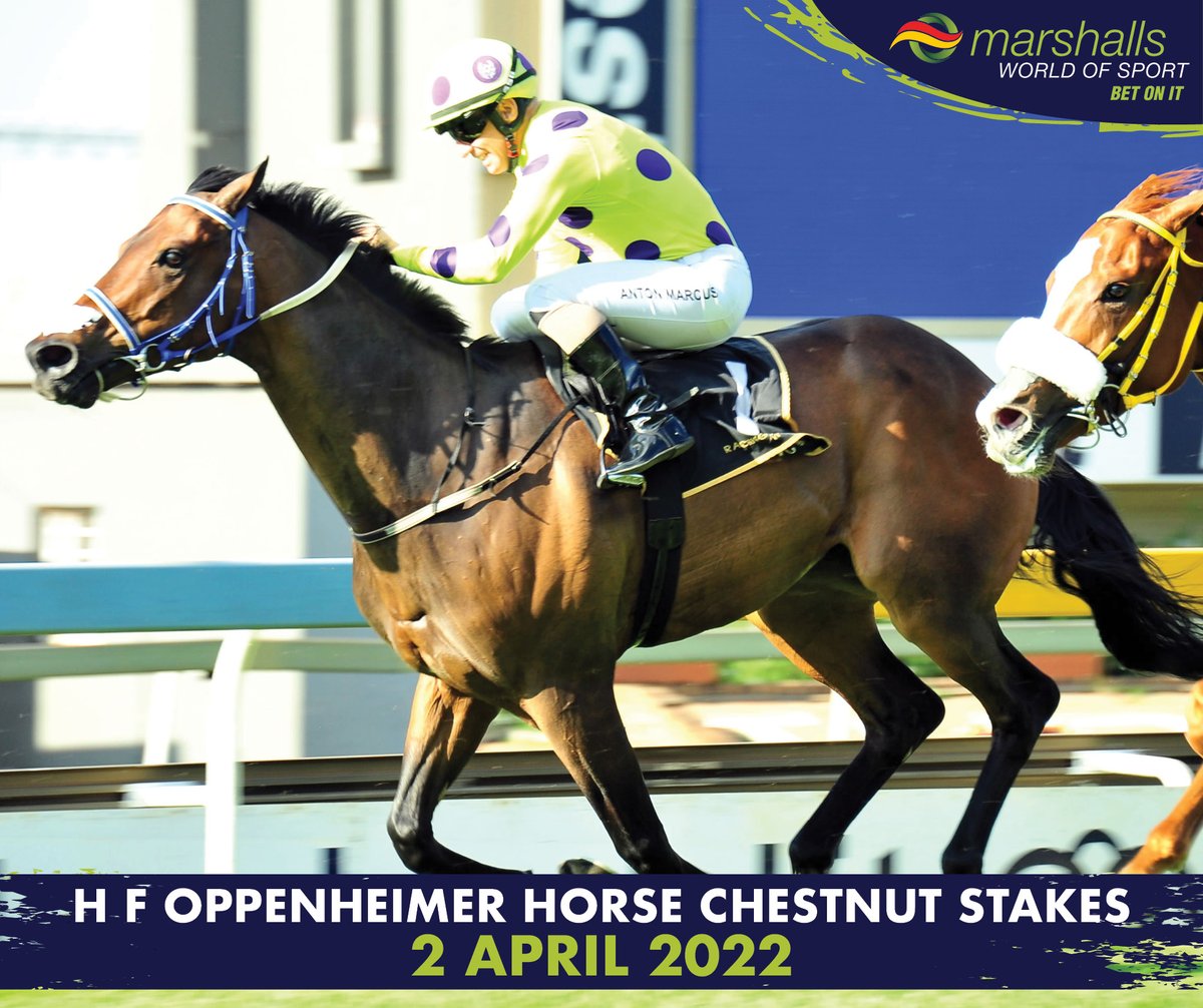 MBet_Bet_On_It's tweet photo. 🏇 Got The Greenlight ridden by Muzi Yeni and trained by Joey Soma won the #HFOppenheimerHorseChestnutStakes in 2021. Who will win this year's Grade 1 horse race on Saturday, 2 April 2022? Bet today https://t.co/FEbpTF1HxM
#MWoSmembers #OppenheimerHorseChestnutStakes #HorseRacing https://t.co/DlnqNpWzDd