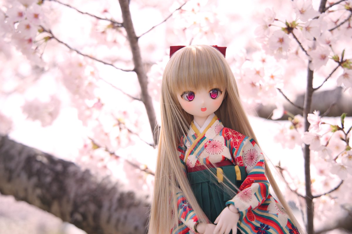 sharkdolls_suki's tweet photo. 🌸🌸🌸
#さめっこ #さめどぉる https://t.co/PkxHRO4wXW