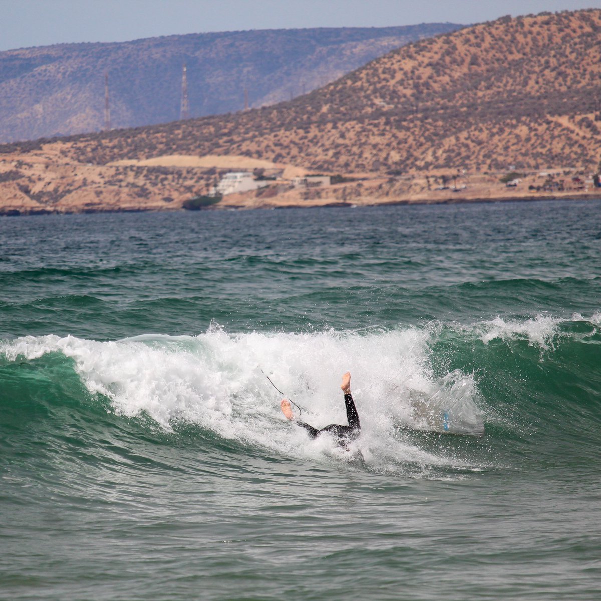 ShakaSurfMoroc's tweet photo. "Wiping out is an underappreciated skill"~ Laird Hamilton
#surfing #surfquotes #morocco #softlandings #learningtosurf #partoftheprocess #oceanlovers #staysalty #washingmachines #stayyoung #play https://t.co/8Z41QKEmNc