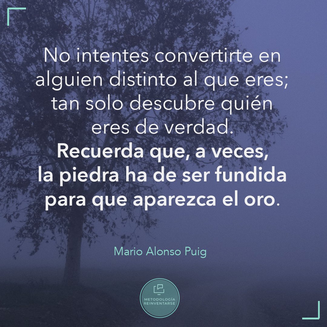MarioAlonsoPuig's tweet photo. Cuando tus inseguridades más te aflijan, no te dejes engañar por la forma de verte en esos momentos. Solo cuando uno aguanta en ese infierno, pueden abrirse las puertas del cielo, descubrir en uno mismo, y no sin sorpresa, unos recursos y unas capacidades que se mantenían ocultos https://t.co/dD5yLRV6r4