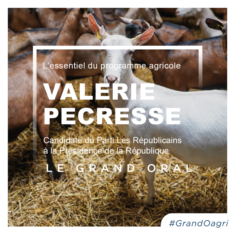 FNSEA's tweet photo. #GrandOagri : @vpecresse, sur scène pour développer son programme agricole "L'#agriculture, c'est la France" !
Le direct 👉 https://t.co/KduzAWL5sR