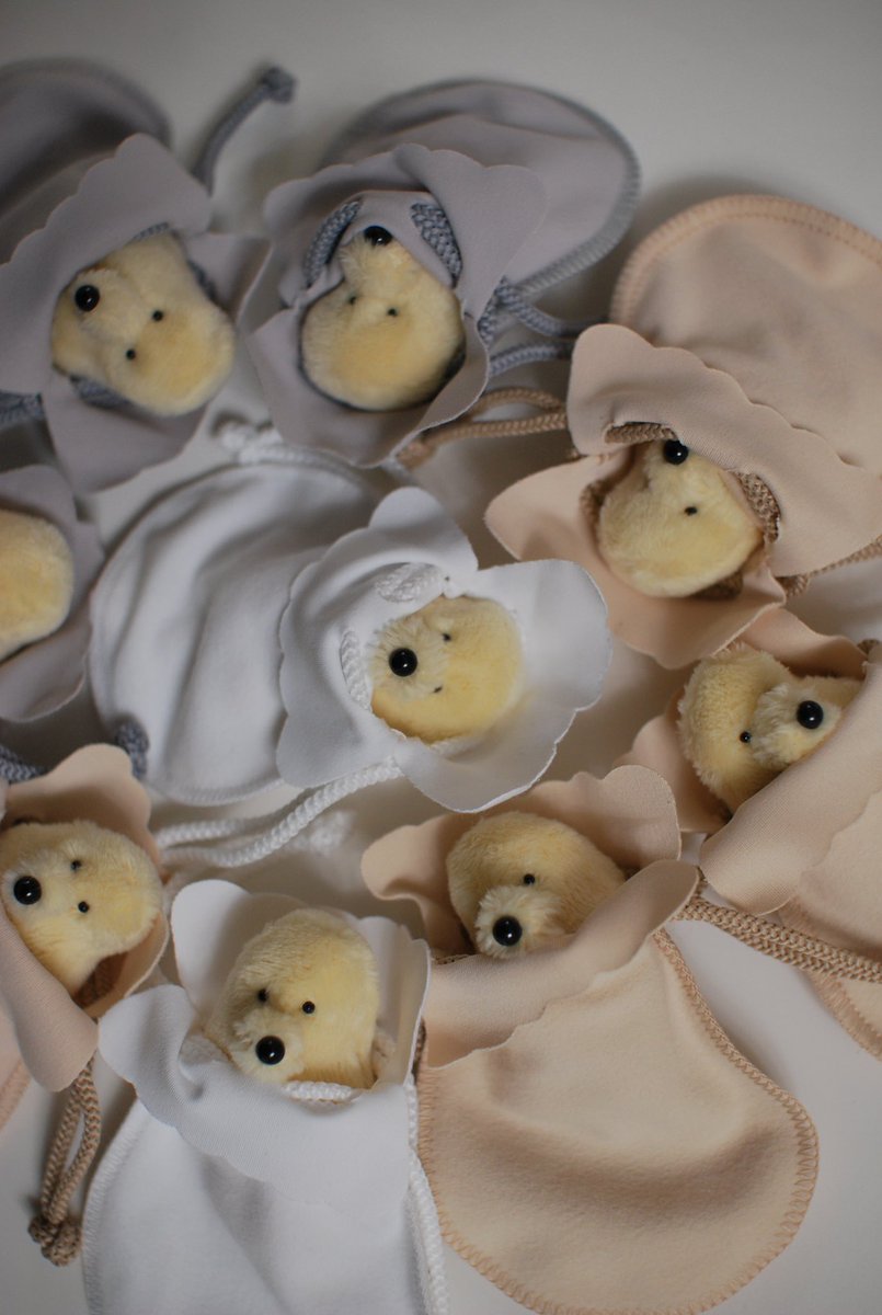 豆粒袋に入れたらみんな眠たい顔になりました🫘