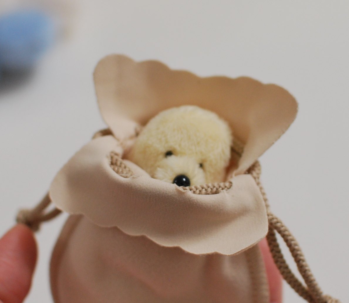 豆粒袋に入れたらみんな眠たい顔になりました🫘