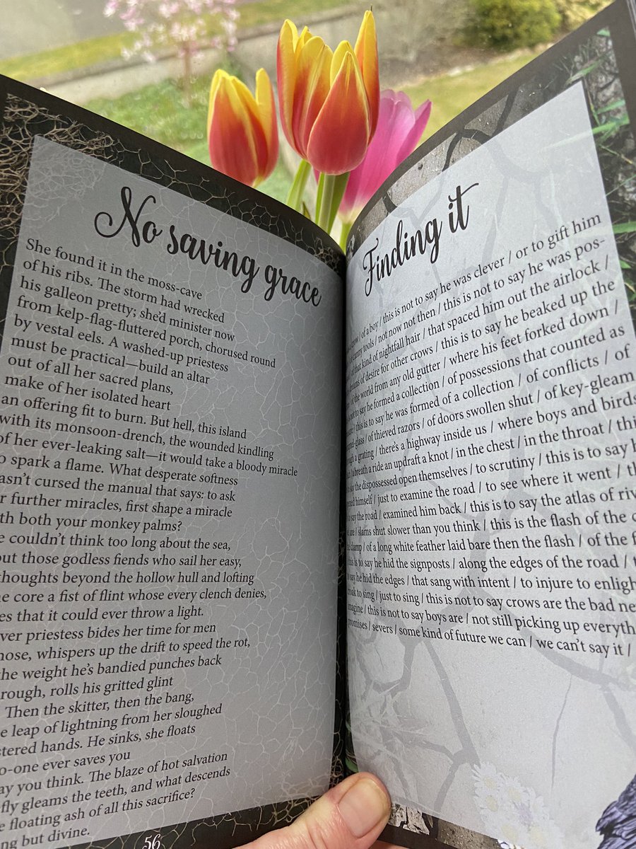 Rhona Greene tweet media