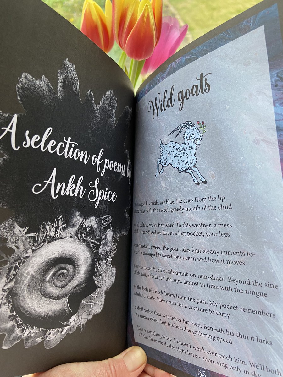 Rhona Greene tweet media