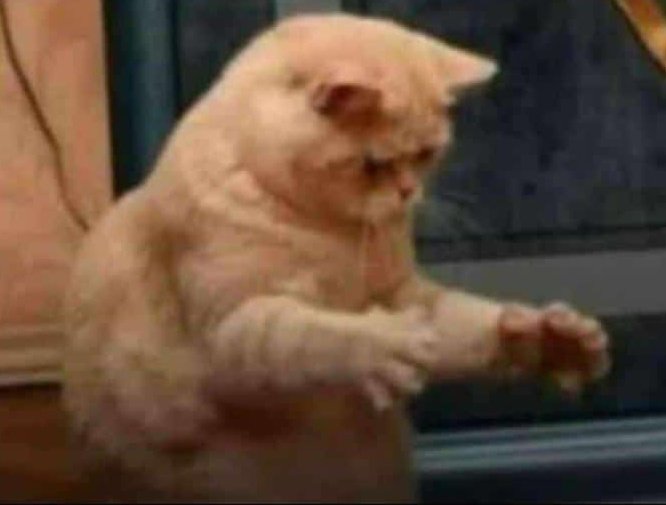 Mudhoto wake unopedza marwadzo, ndiwo assprin yangu