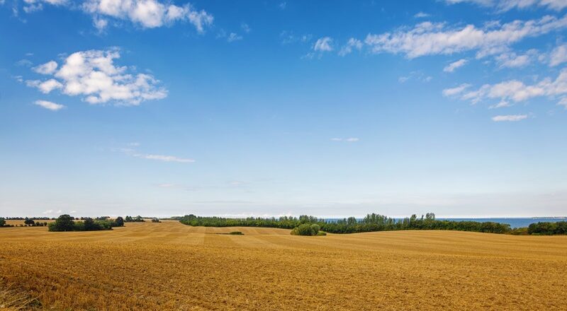 SostenCarni's tweet photo. Il professor #GiuseppePulina illustra le principali #criticità delle #FiliereZootecniche italiane, comuni a tutto il #CompartoAgricolo e le possibili #soluzioni per rafforzare l’#AgricolturaItaliana e renderla più #produttiva e più #sostenibile.
https://t.co/atNtQCXVIo 🌱🐓🐖🐄 https://t.co/tyqO4ihbPe