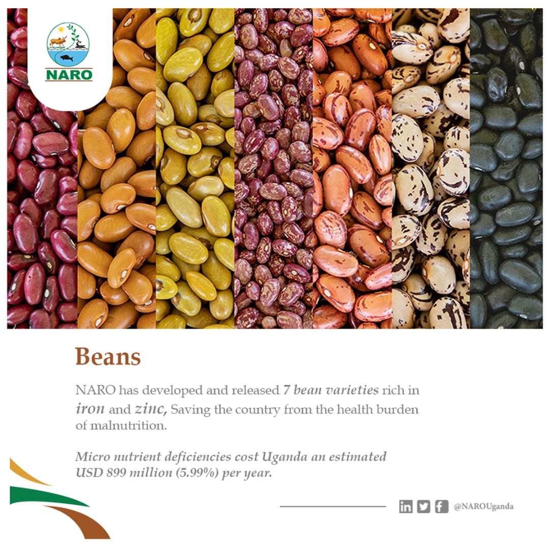 Interventions to boost Fd and Anim Feed security tweet media