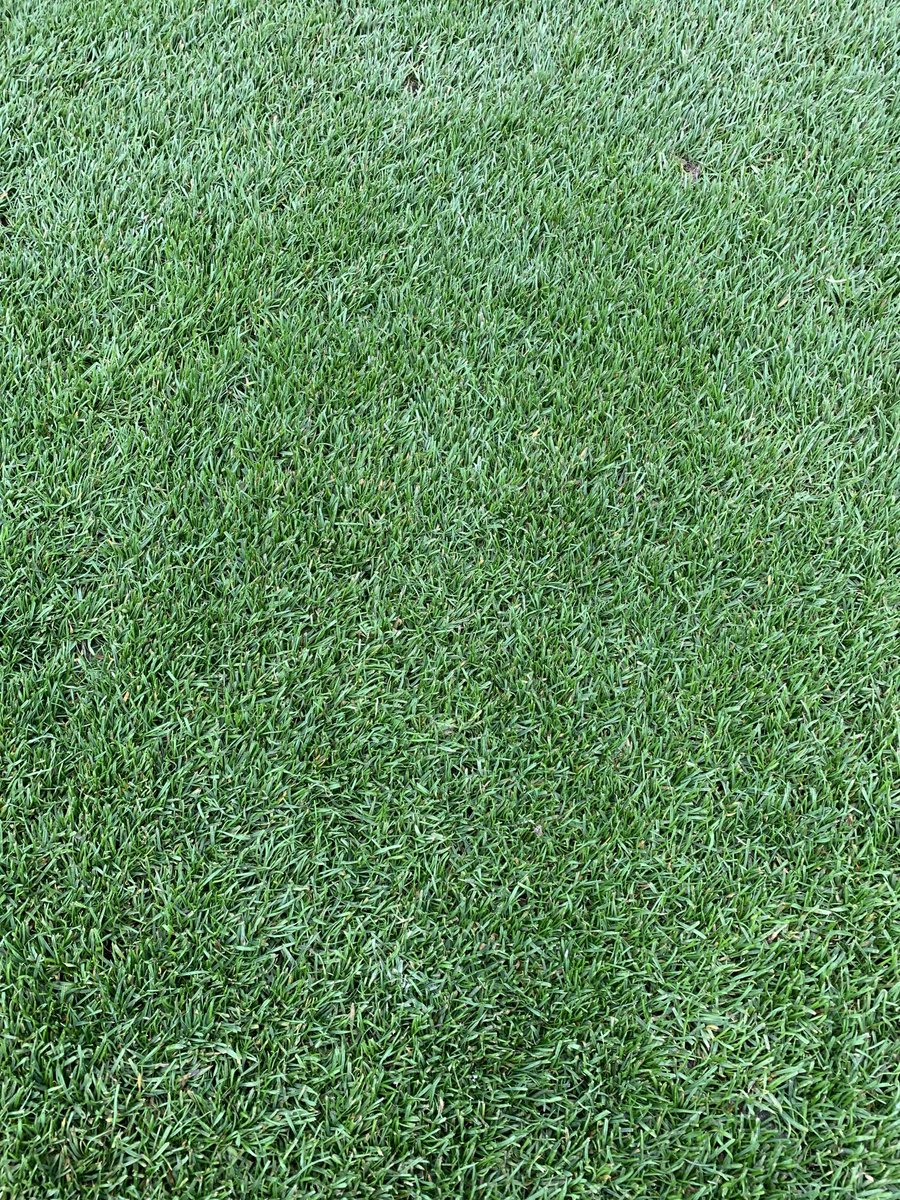 steve new tweet media