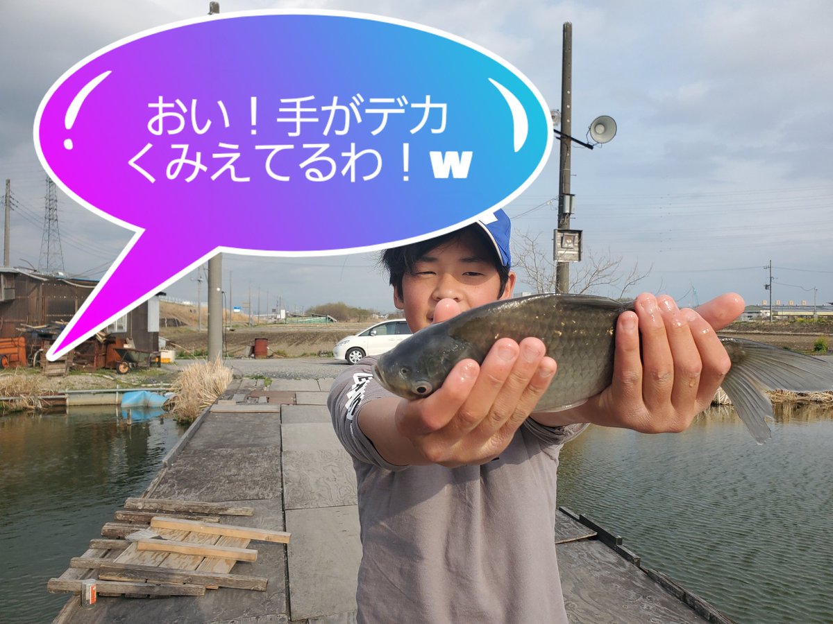 gr0ad4ius0's tweet photo. パーフェクトS口様👨8尺浅ダナセット お昼まで60枚越え⤴7尺チョウ両ダンゴも好調✌️ うちの息子は本日8枚!・・・って言ってるが、5枚✨アッパー❌
\"d\'(∀・*)アウトォ!! ここは厳しくw
#9尺 #カラツン地獄w #HARD2 #へら釣りにはまった小学4年生w https://t.co/oKXQZD5kav