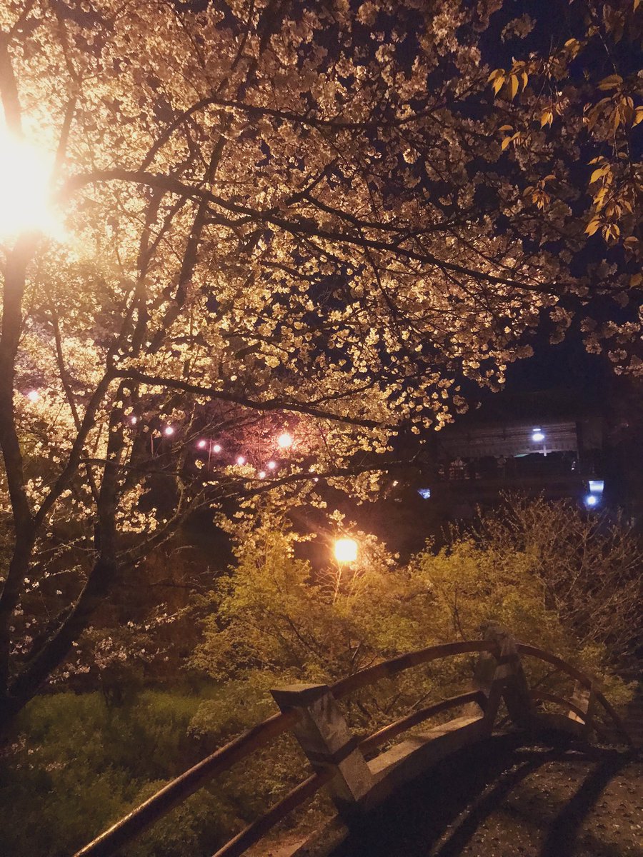 boc__0211_'s tweet photo. https://t.co/IvbEIQZZnM