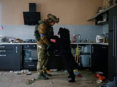 NewVoiceUkraine's tweet photo. A Ukrainian soldier hugs a dog abandoned by its owners in a house near Kyiv.

Photo: Gleb Garanich / REUTERS https://t.co/997iFCWe2A