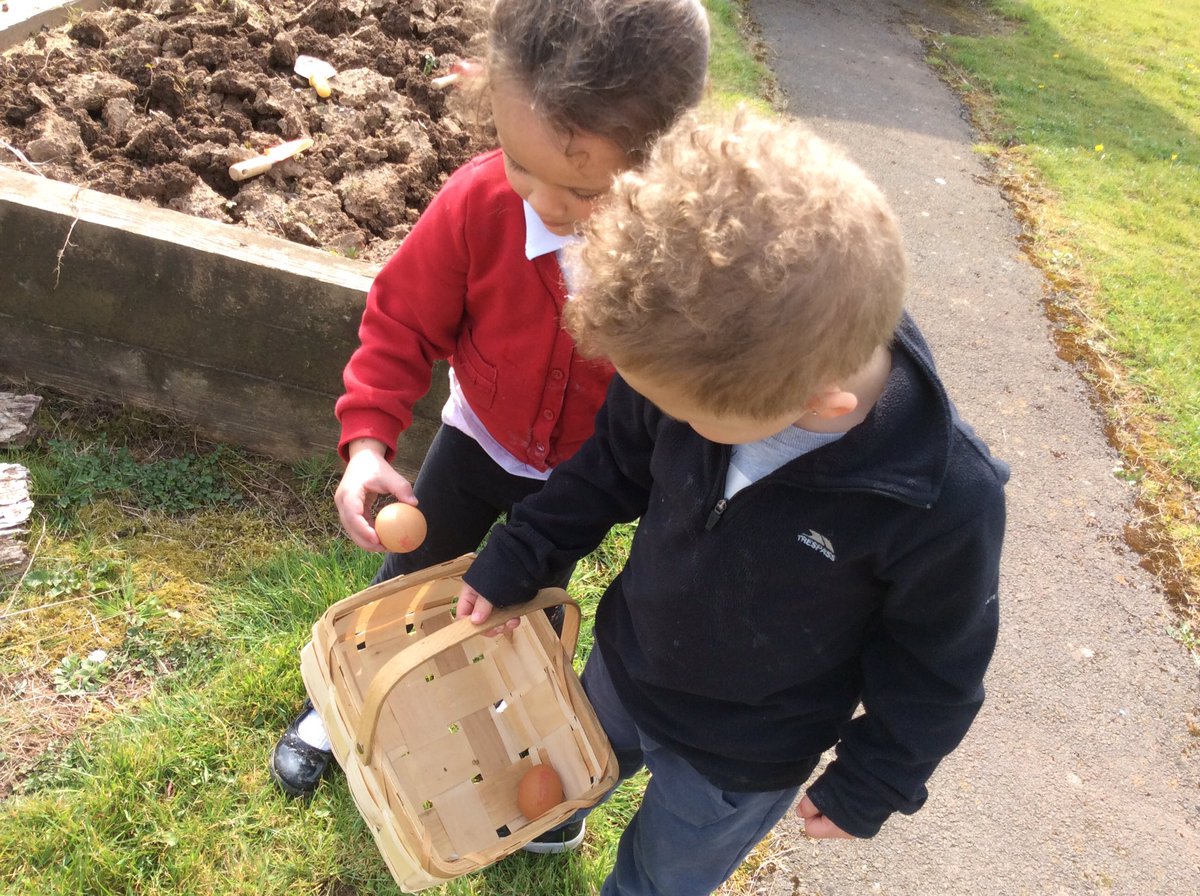 NLHWCPS's tweet photo. Where have these eggs come from? What shall we do with them? The children used their counting and partitioning skills they display the eggs in the farm shop. @WoodlandsPrima1 @ https://t.co/E0TQjlqRxe