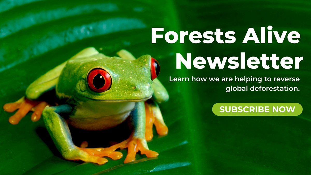 Coalition for Rainforest Nations tweet media