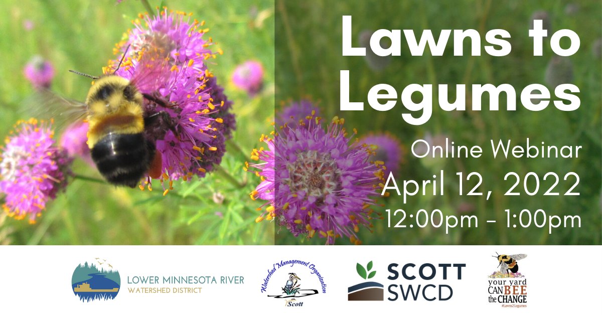 ScottSwcd's tweet image. We're hosting a webinar on Pollinators! We are excited to host speaker Dr. Elaine Evans to talk about what's happening with the rusty patched bumble bee, and funding for pollinator gardens. 
Join us on Zoom April 12th 
Register: eventbrite.com/e/lawns-to-leg…