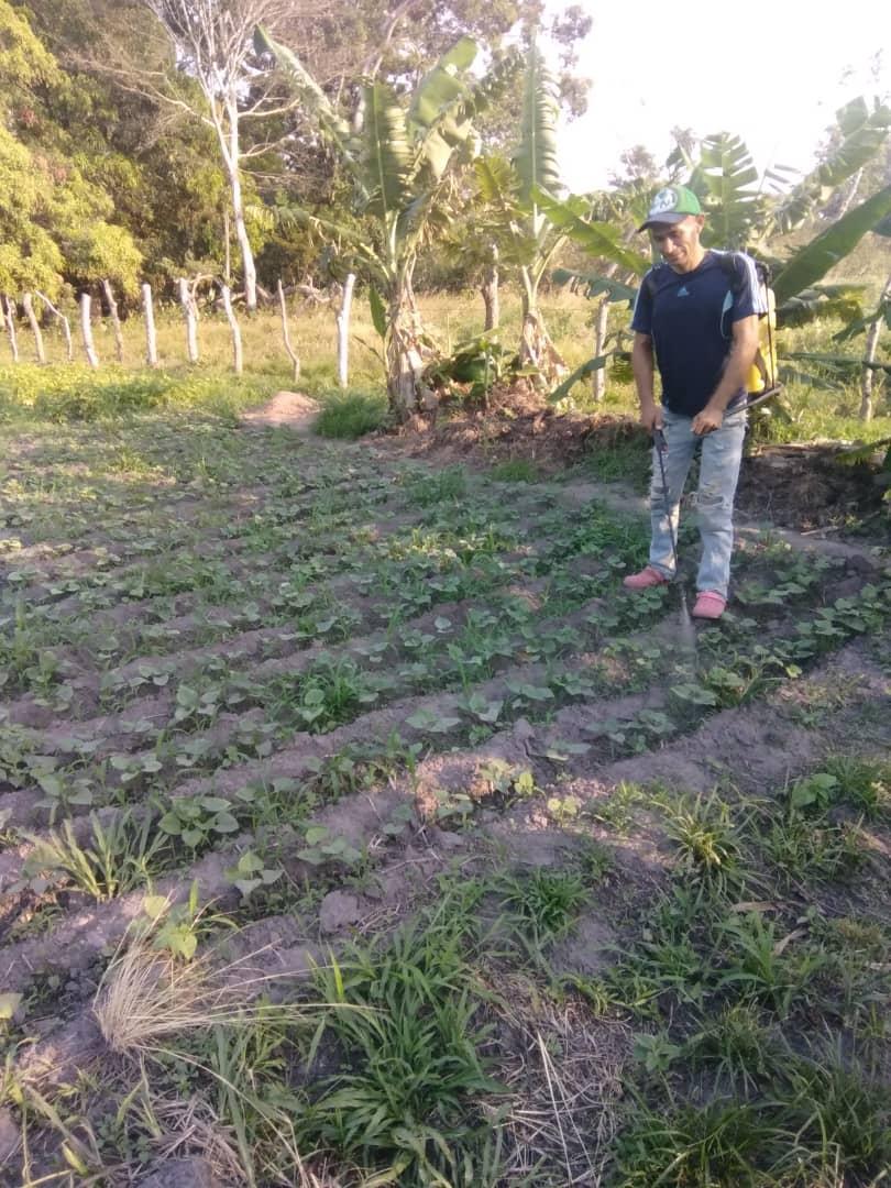 #30Mar | En el Territorio de la Comuna Armando Bonilla @BonillaComuna, tienen el potencial, ya que son #ManosProductiva 
🇻🇪Venezuela, tierra bendita y revolucionaria con lealtad y mística <a href="/VocesUrgentes/">Comunicación Comunal</a> <a href="/jaarreaza/">Jorge Arreaza M</a> <a href="/AdolfoP_Oficial/">Adolfo Pereira Gobernador</a> <a href="/AngelPradoSP/">AngelPradoSP</a> @MPP_Comunas