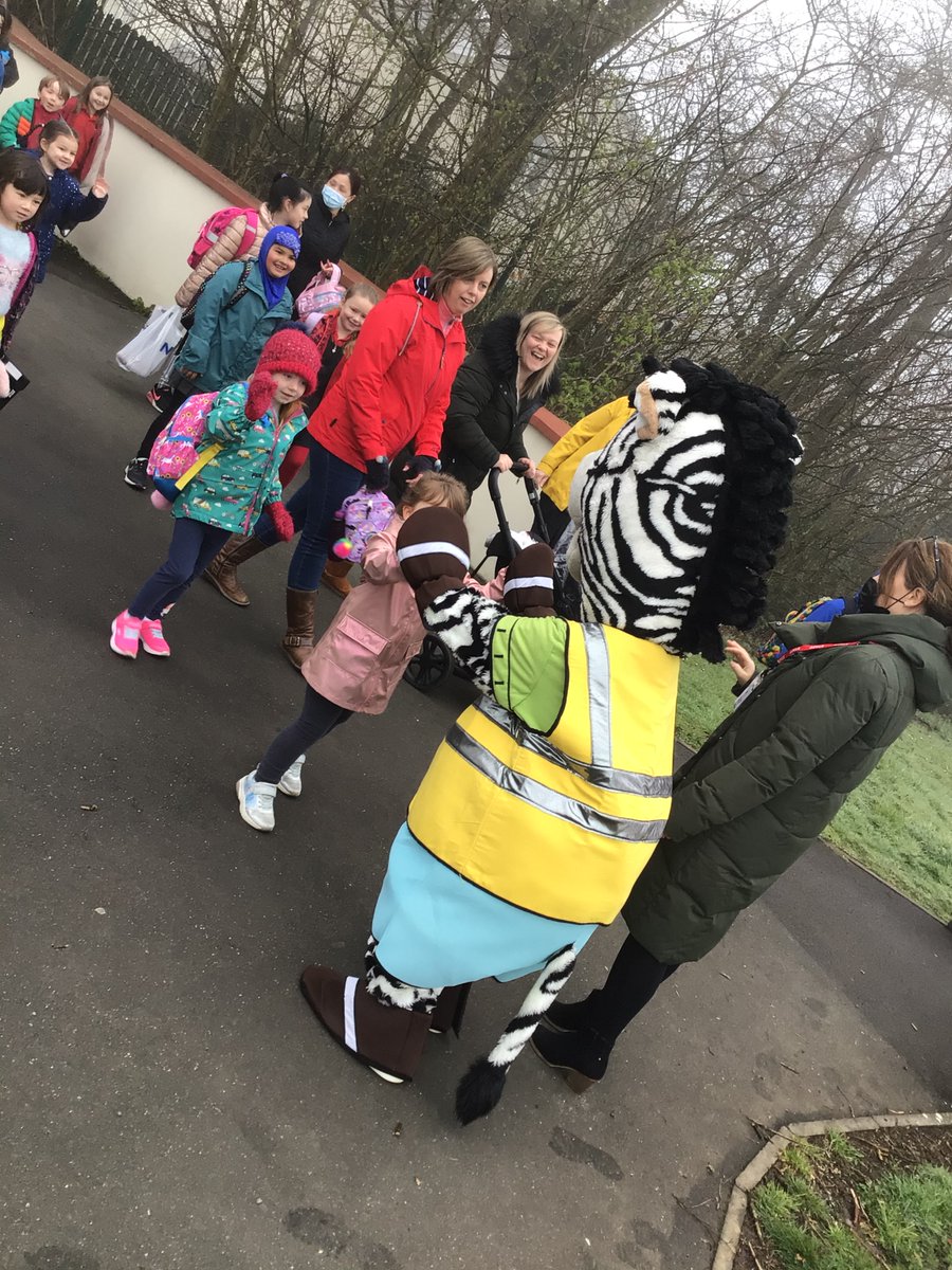 narberthschool's tweet image. What a fantastic, and foggy, walking bus to school this morning! Over 50 pupils, parents, governors and staff chose to make an #activejourney to school as part of our #BigWalkandWheel challenge for @SustransCymru. Ziggy the Zebra from 
Gwych! Diolch yn fawr iawn i chi gyd!