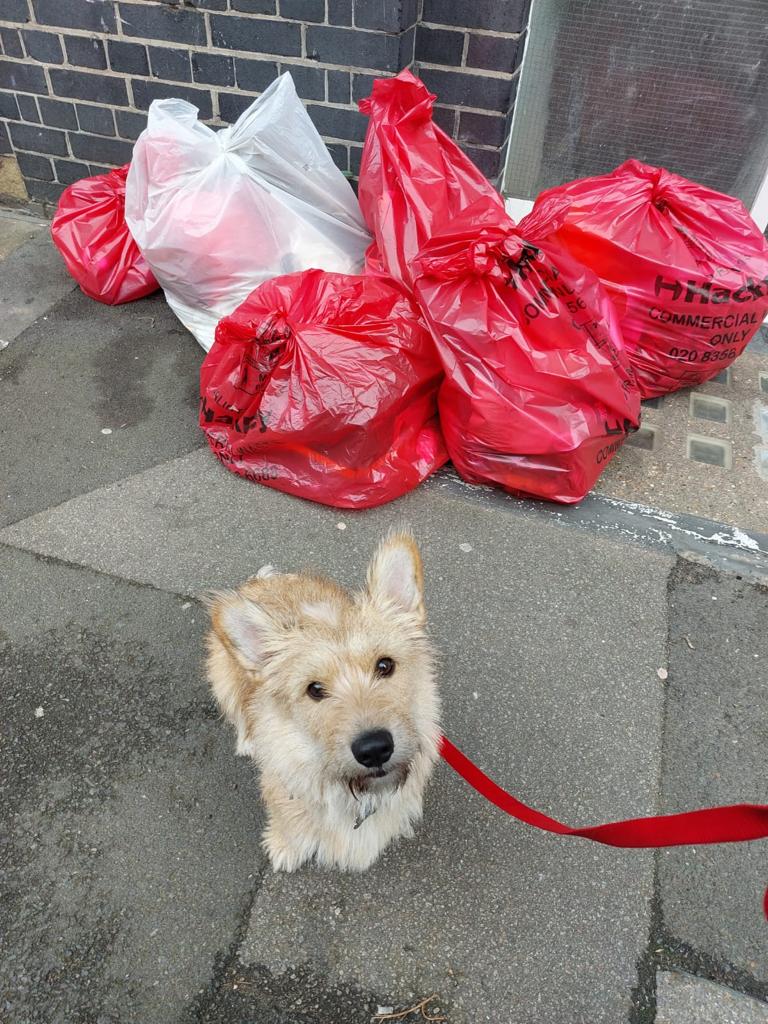 findersprobate's tweet photo. Today, we organised a litter pick from our offices in London to, and around, our nearest park as part of the #GreatBritishSpringClean.
#PledgeToPick #BigBagChallenge #KeepBritainTidy @KeepBritainTidy https://t.co/EjiJdBiYK0